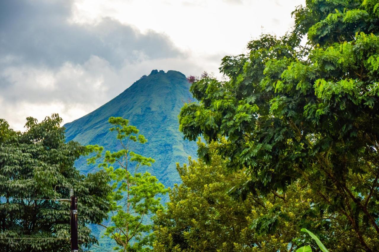 Yellow Tree Suites La Fortuna Bagian luar foto