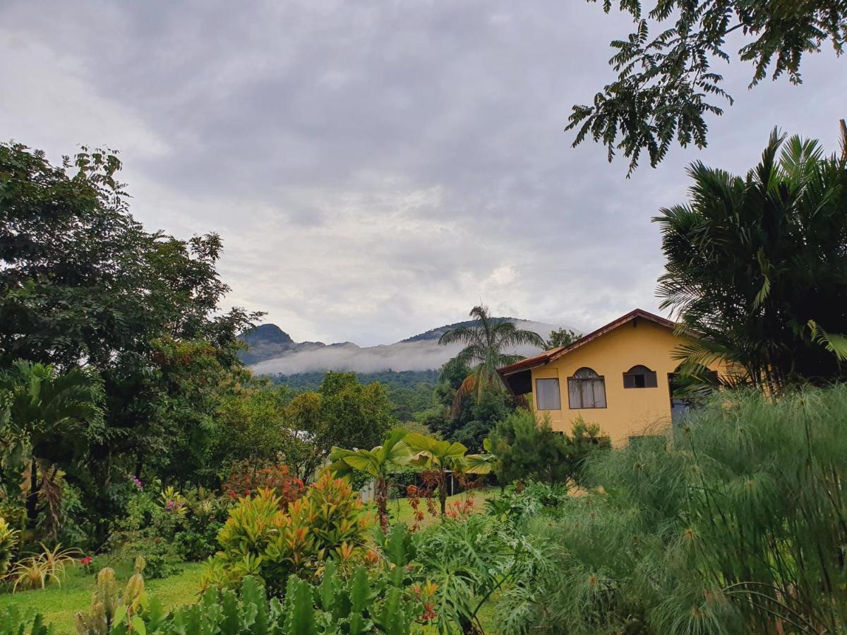 Yellow Tree Suites La Fortuna Bagian luar foto
