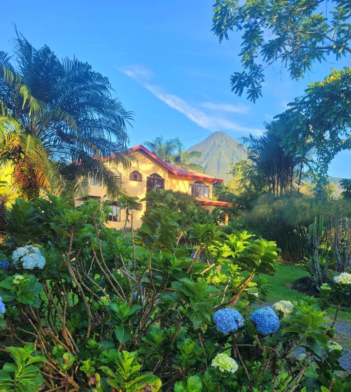 Yellow Tree Suites La Fortuna Bagian luar foto