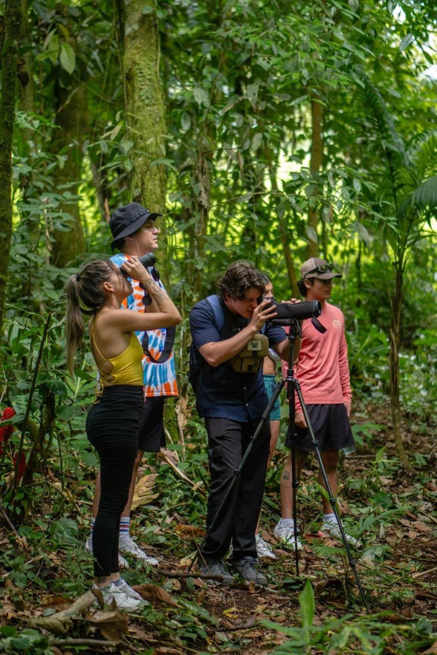 Yellow Tree Suites La Fortuna Bagian luar foto